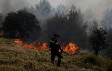 В Греции продолжают бороться с лесным пожаром близ Афин