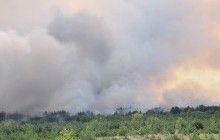 На Харківщині масштабна пожежа - горить близько 10 гектарів лісу