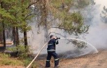 Масштабный лесной пожар на Николаевщине: полиция задержала двух подозреваемых в поджоге