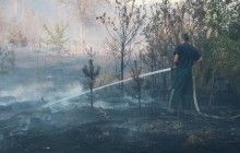 У Києві горить трава на площі майже 4 га: пожежні задіяли автотракторну техніку (фото)