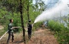 Розповсюдження лісової пожежі на площі 120 га в заповіднику на Житомирщині зупинено - ДСНС