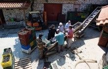 Виноградна справа на Святій Горі Афон: традиції збору врожаю і чудотворна лоза
