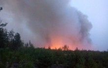Пожежа у Поліському заповіднику: через сильний вітер авіація не може здійнятися у повітря (фоторепортаж)