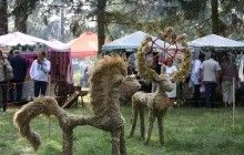 Більше 7 тисяч осіб взяли участь у Міжнародному фестивалі льону на Житомирщині