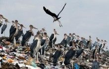 В Кении запретили полиэтиленовые пакеты: за использование – до 4 лет тюрьмы (фоторепортаж)
