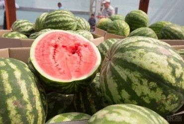 Андрющенко розказав, як вдалося потравити у Маріуполі окупантів кавунами