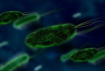 Тихая пандемия: из-за войны в Украине развиваются супербактерии, которые не боятся антибиотиков, - The Sunday Times