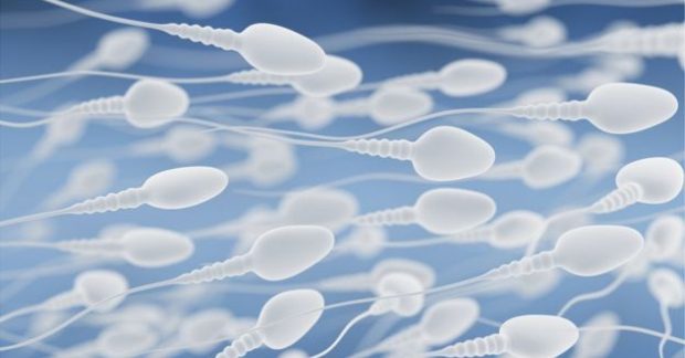 Семіз адамдар мен сарухандардың порносы