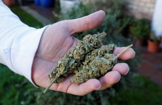 У Таїланді влада дозволила туристам вживати марихуану