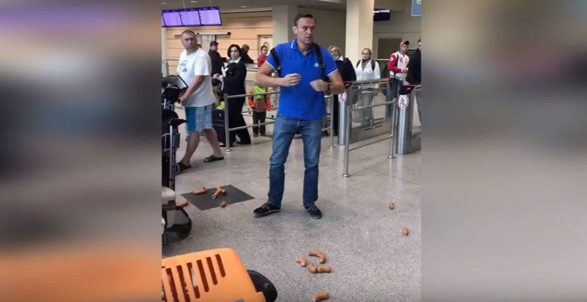 Так Навального встретили в аэропорту / Скриншот