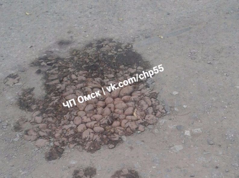 Люди припустили, що дороги в місті такі, що в них чудово проростає картопля / фото fedpress.ru Люди припустили, що дороги в місті такі, що в них чудово проростає картопля / фото fedpress.ru