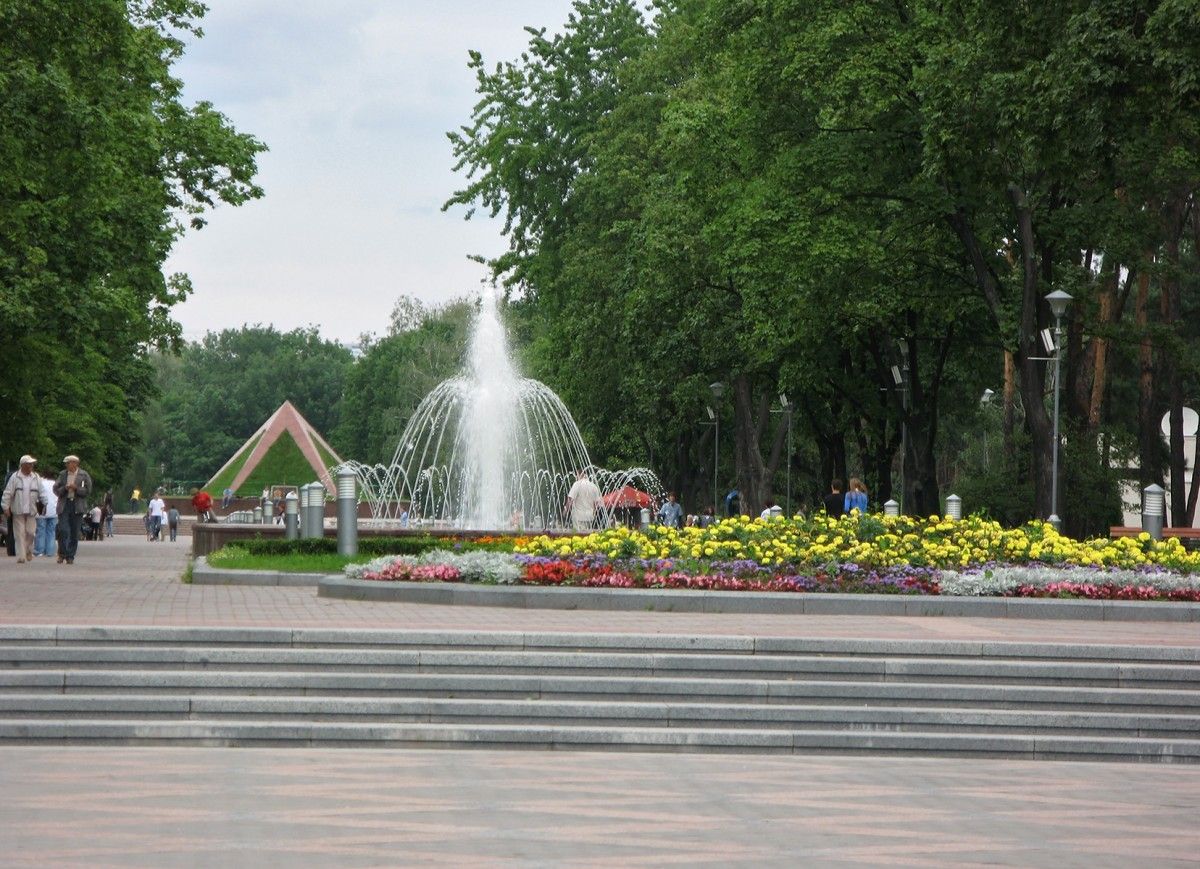 Растения в городах лучше справляются с засухой, чем в сельской местности, – ученые Растения в городах лучше справляются с засухой, чем в сельской местности, – ученые