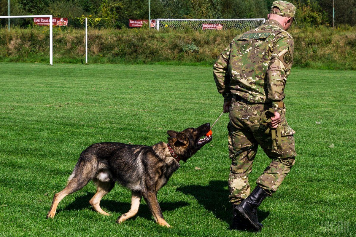 Что за праздник сегодня / фото УНИАН