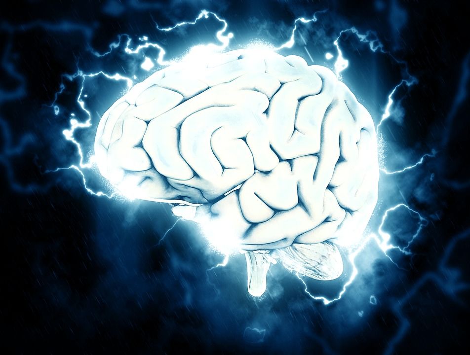 Мозг человека может меняться в зависимости от доходов / фото pixabay.com Мозг человека может меняться в зависимости от доходов / фото pixabay.com