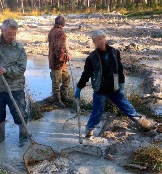 Затримані місцеві жителі / фото Нацполіція Житомирщини Затримані місцеві жителі / фото Нацполіція Житомирщини