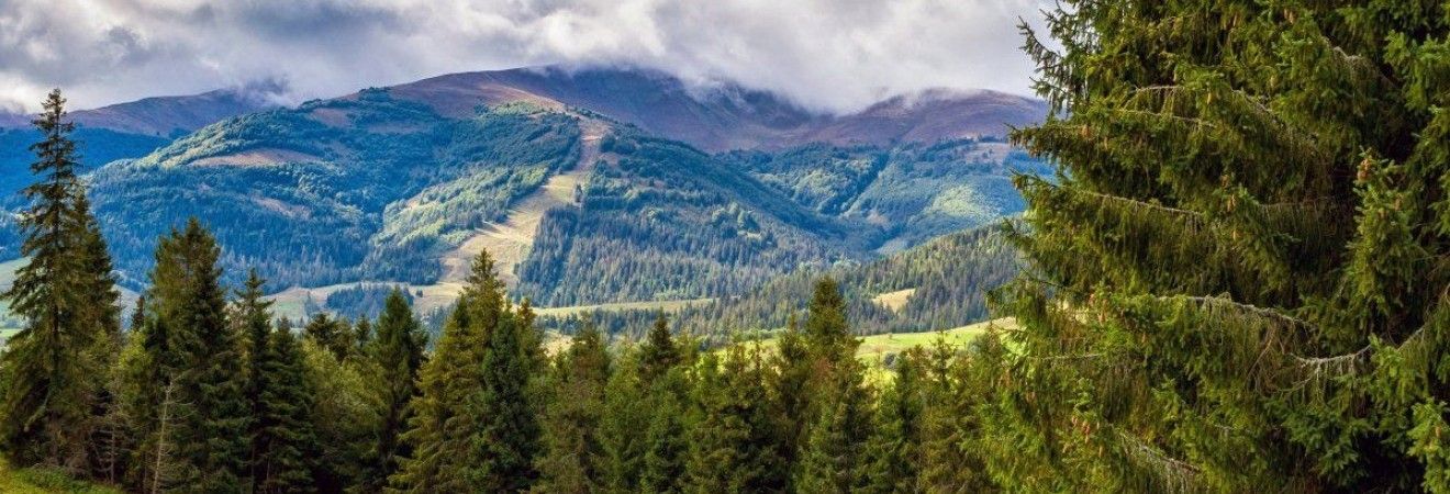 В Украину идет осеннее потепление