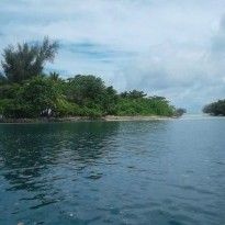 В Тихом океане восемь островов исчезли под водой