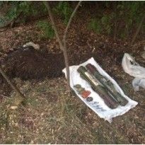 SBU nabs coordinator of sabotage network working for Russian intel across Kharkiv region