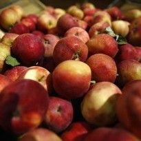 Canada interested in buying Ukrainian eggs, meat, apples