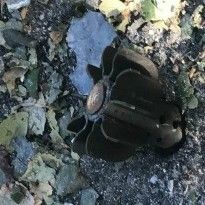 Боевики выпустили по жилым кварталам Марьинки четыре мины – СЦКК