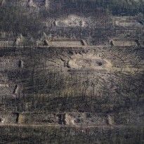 Ukraine loses more ammo in latest arms depot blast than used over 3 years of war in Donbas