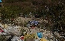 На Тернопільщині на сміттєзвалищі виявили тіло новонародженої дитини