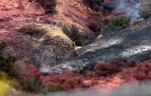У Лос-Анджелесі гасять найбільшу пожежу за всю історію міста (фоторепортаж)
