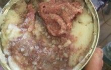Военные нашли в тушенке строительную перчатку (фото, видео)
