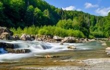 В Україні з'явиться "Червона книга Прикарпаття"