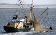 Північне море нагрівається вдвічі швидше за світовий океан - екологи