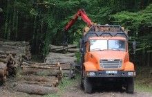 Порошенко запропонував зміни до ветованого закону щодо криміналізації контрабанди лісу