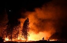 У Франції підлітка судитимуть за серію підпалів, які знищили 300 гектарів лісу