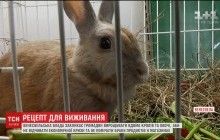 В Венесуэле предложили странный способ выхода из кризиса (видео)