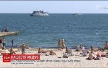 В Одессе нашествие медуз: они атакуют отдыхающих (видео)