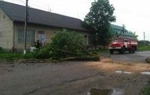 Потрощені дахи, зламані дерева та сотні населених пунктів без світла: ураган прокотився Румунією та зачепив захід України (відео)