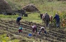Когда в Украине откроют рынок земли: детали