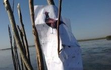На Одещині збудували штучний острів для гніздування водоплавних птахів (фоторепортаж)