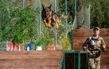 В Україні проходить міжнародний чемпіонат службових собак (фоторепортаж)