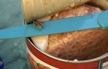 На Волыни трое человек госпитализированы с ботулизмом, среди них 12-летний ребенок