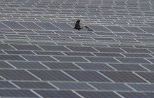 Украина утроила ввод в эксплуатацию мощностей возобновляемой энергетики