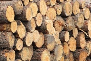 Субсидія на дрова 2023: хто може отримати 16 тисяч гривень
