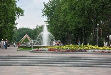 Рослини в містах краще справляються з посухою, ніж в сільській місцевості, - вчені