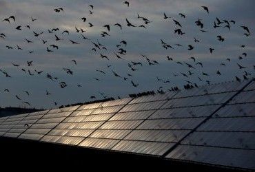 Зелена енергетика потребує довгострокової підтримки з боку НКРЕКП, - інвестори