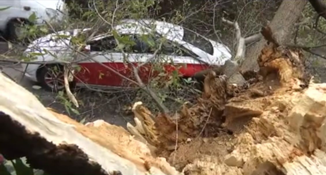 скрін відео скрін відео