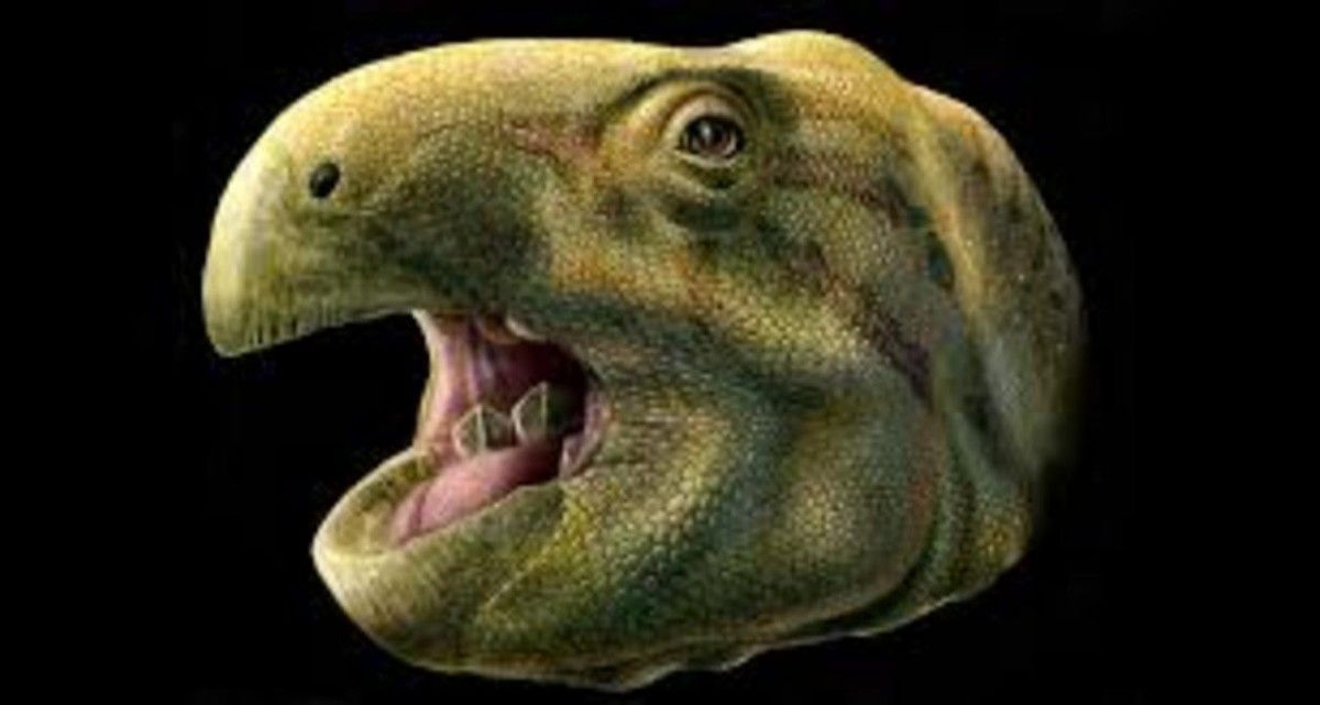 Палеонтологи сделали реконструкцию черепа Matheronodon provincialis / фото theverge.com Палеонтологи сделали реконструкцию черепа Matheronodon provincialis / фото theverge.com