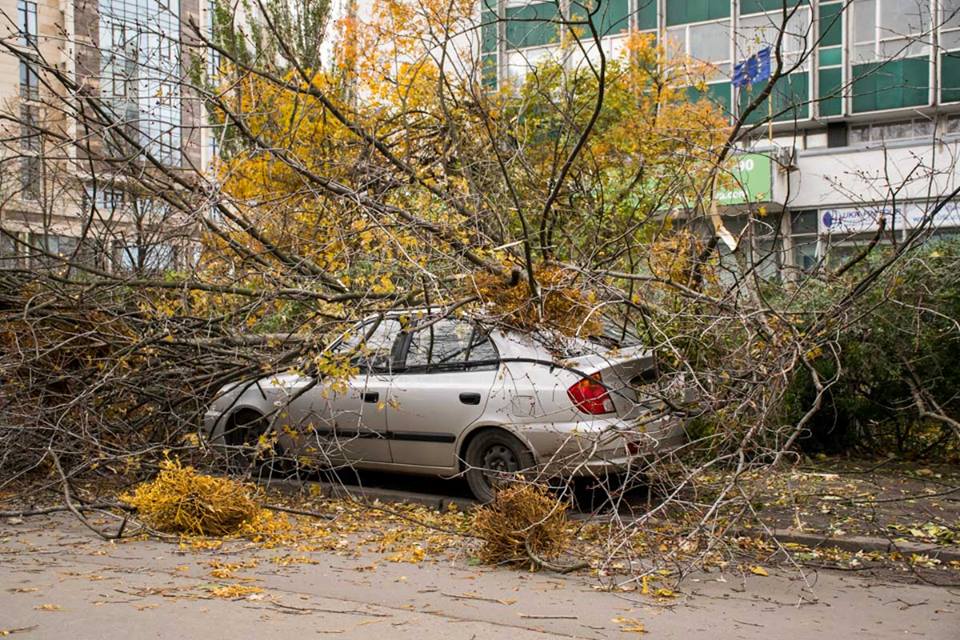 В Киеве ожидаются порывы ветра / фото informator.ua В Киеве ожидаются порывы ветра / фото informator.ua