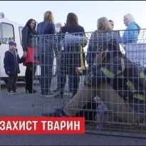 В Луцке зоозащитники залезли в клетки и просили людей не идти на спектакль в передвижной цирк (видео)