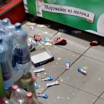 На Буковине еноты устроили "пир" в магазине (фото)
