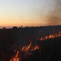 ATO HQ: First Grad attack on Ukraine amid 