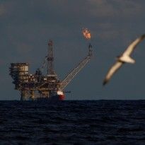 Reuters: Oil extends losses as other markets fall, stockpiles climb